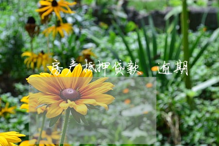 房产抵押贷款 逾期 房产抵押贷款 逾期
